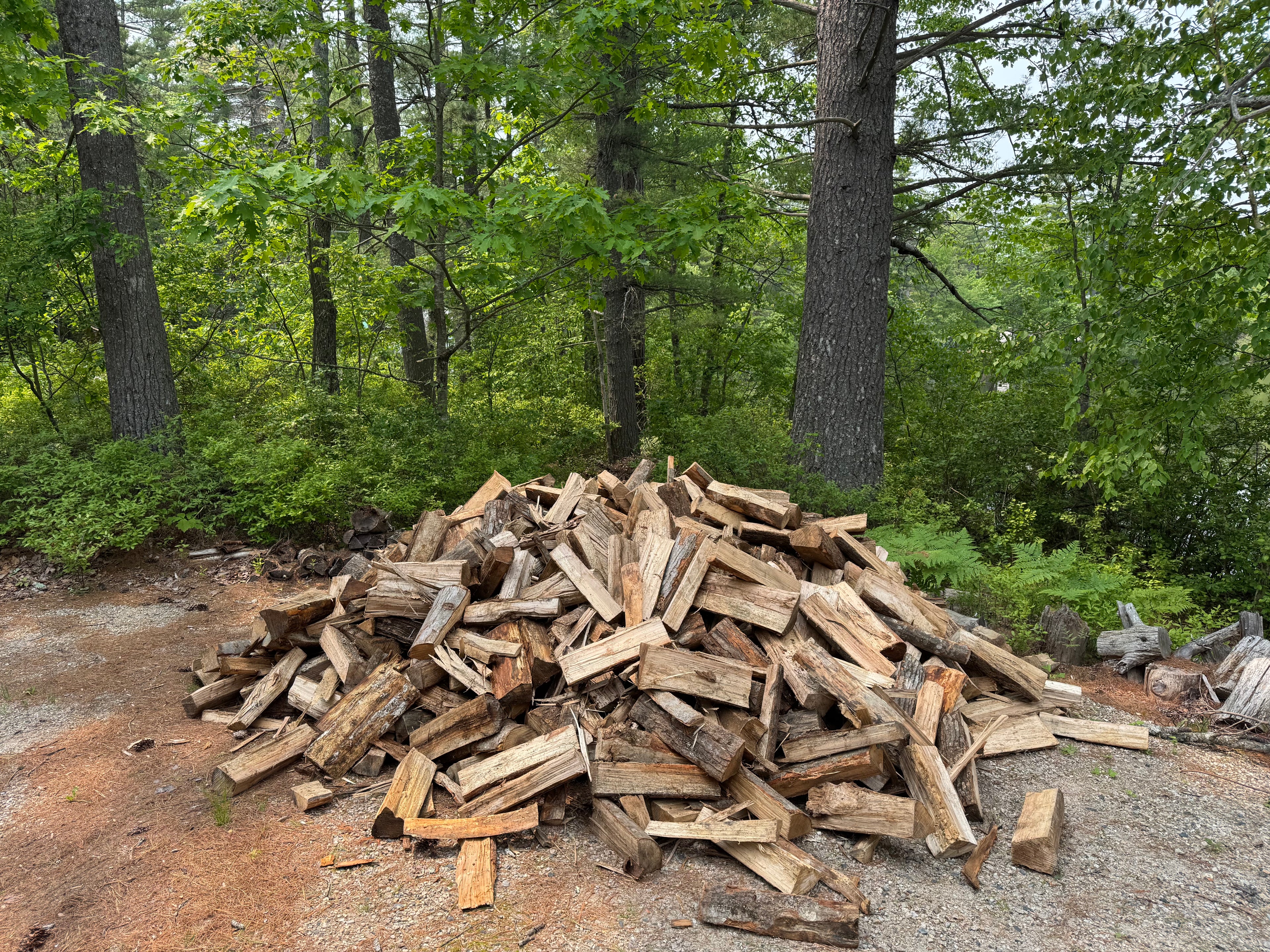 1/2 cord of seasoned firewood (16")