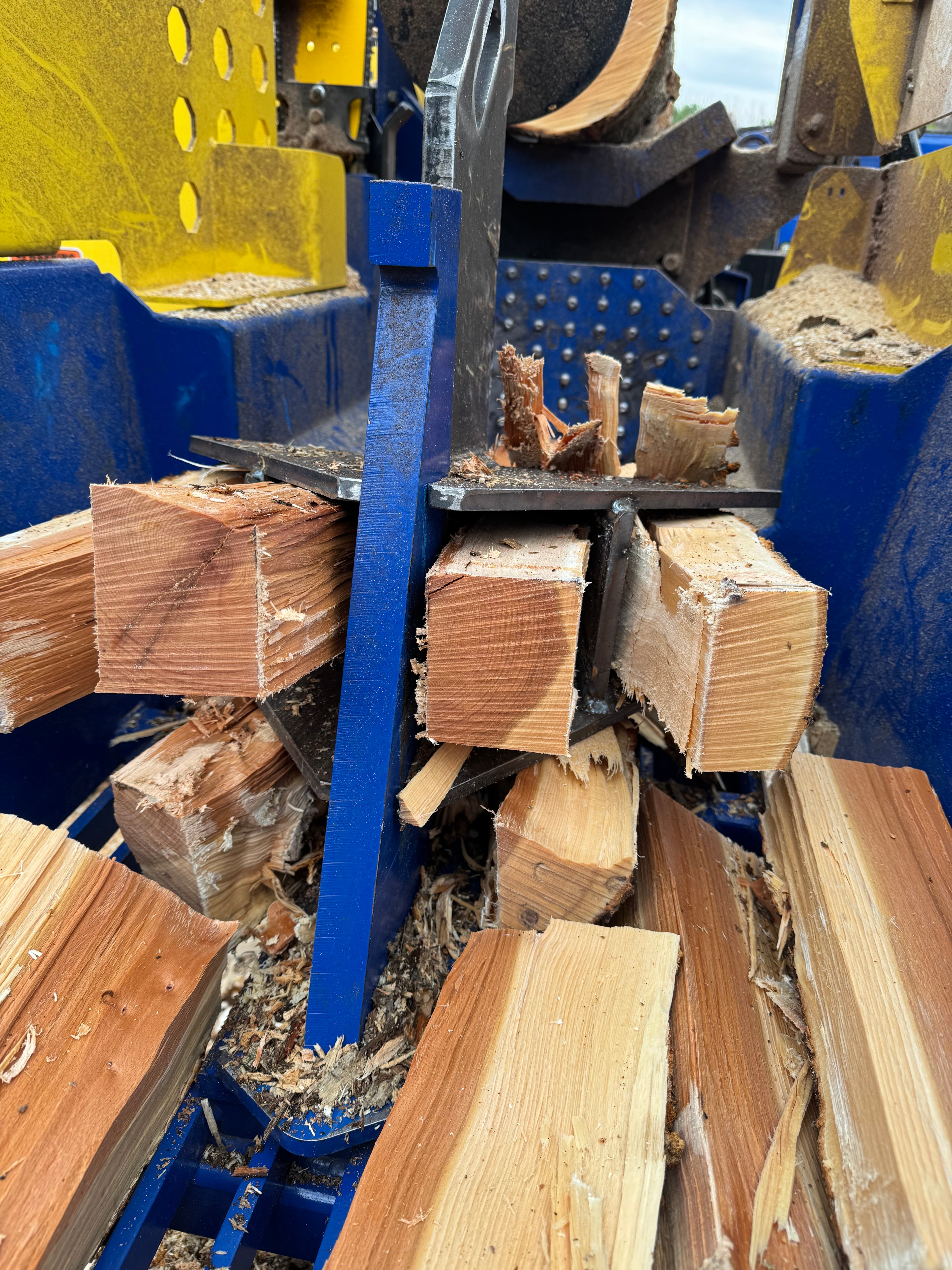 2 CORDS GREEN FIREWOOD